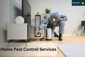 Home pest control services