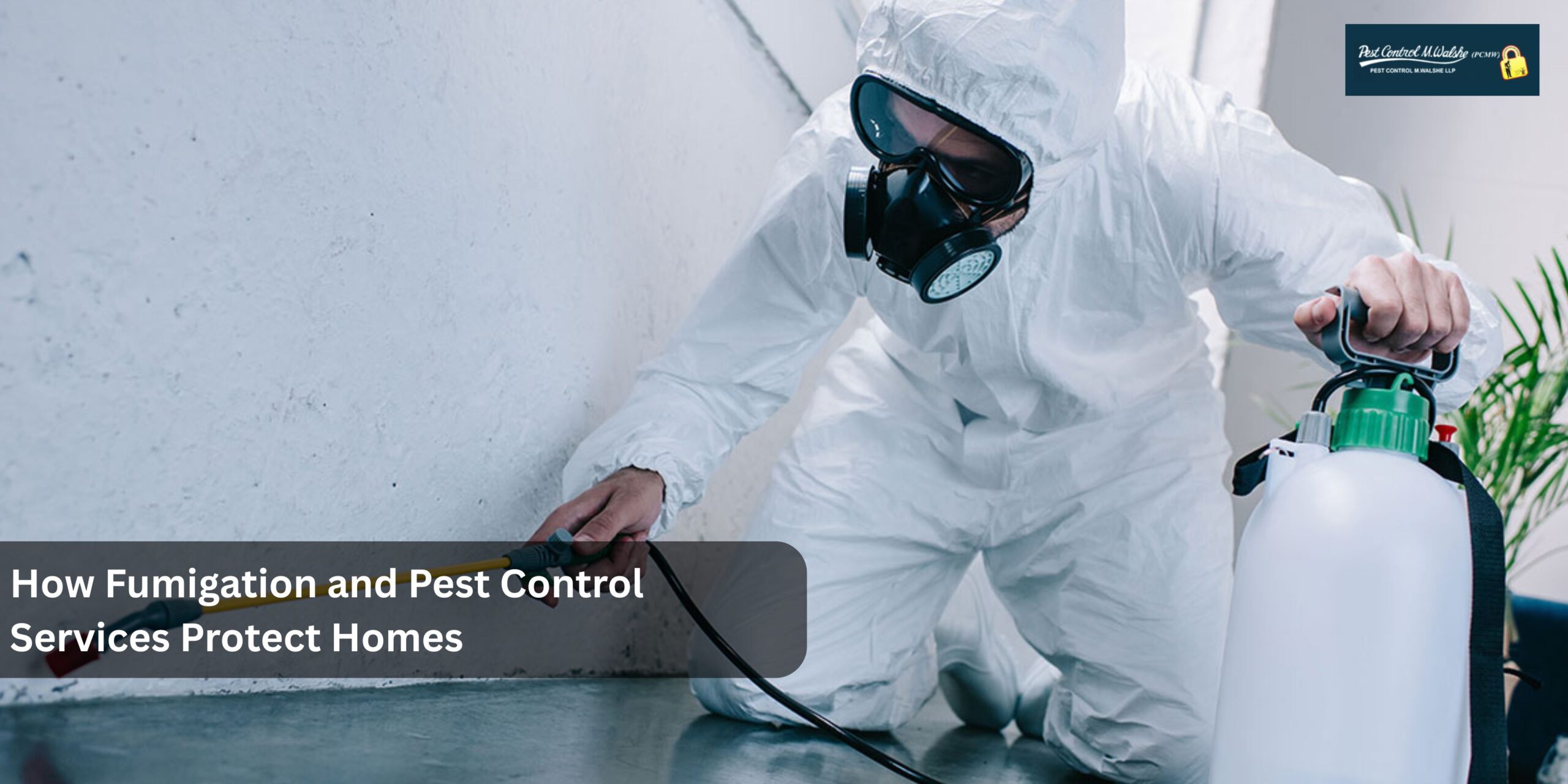 fumigation services