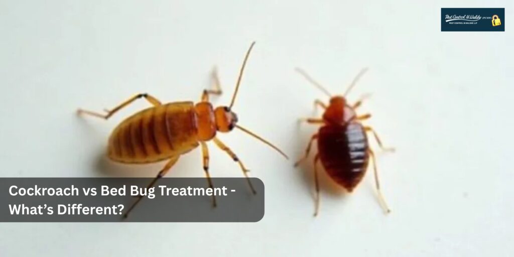 Cockroach-vs-Bed