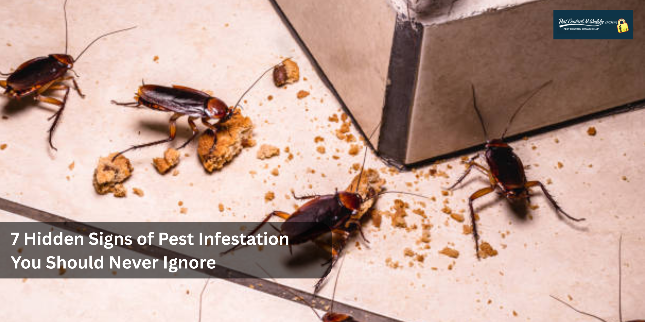 pest infestation