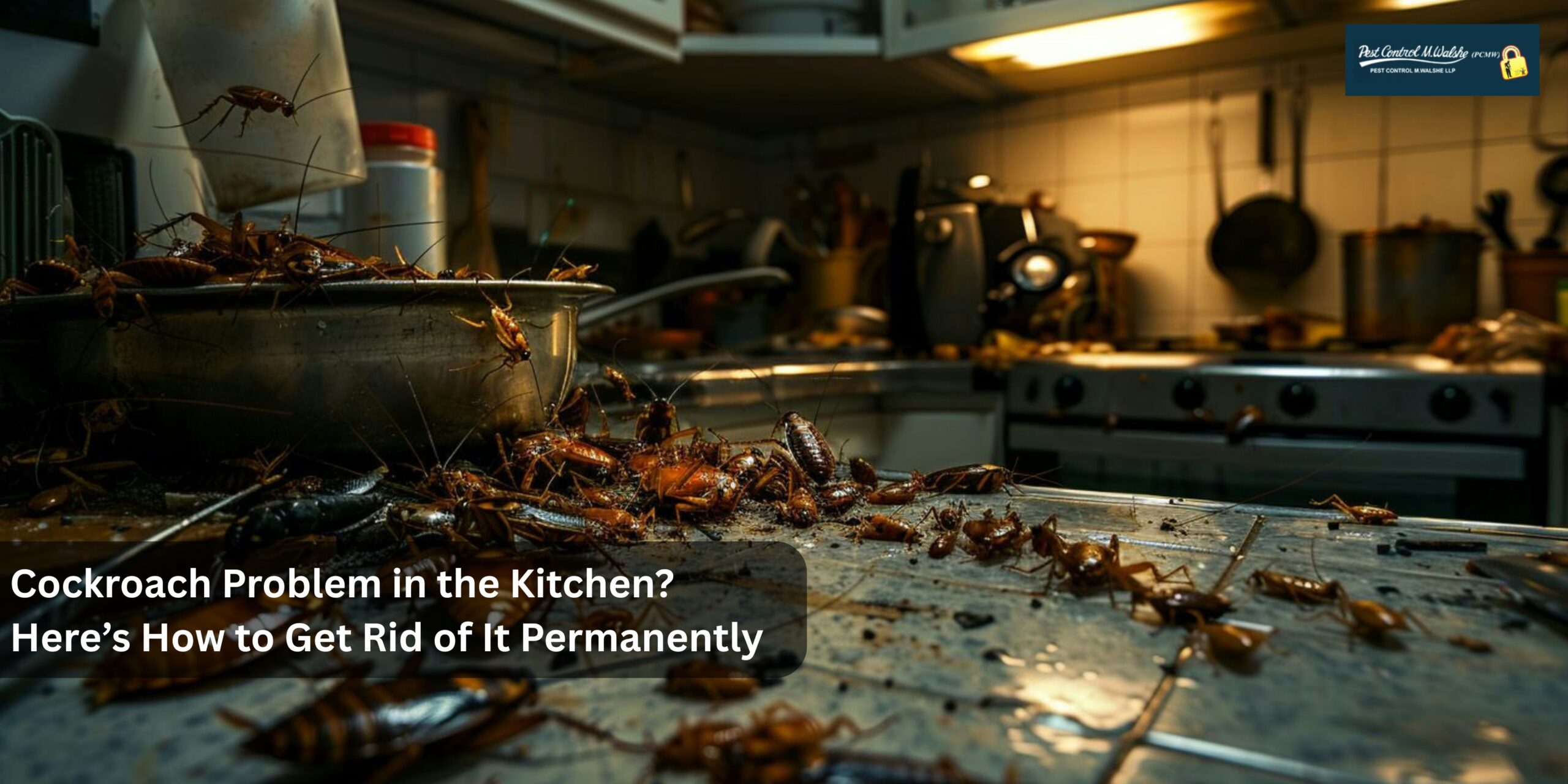 Cockroach Problem in the Kitchen
