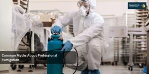 Professional Fumigation