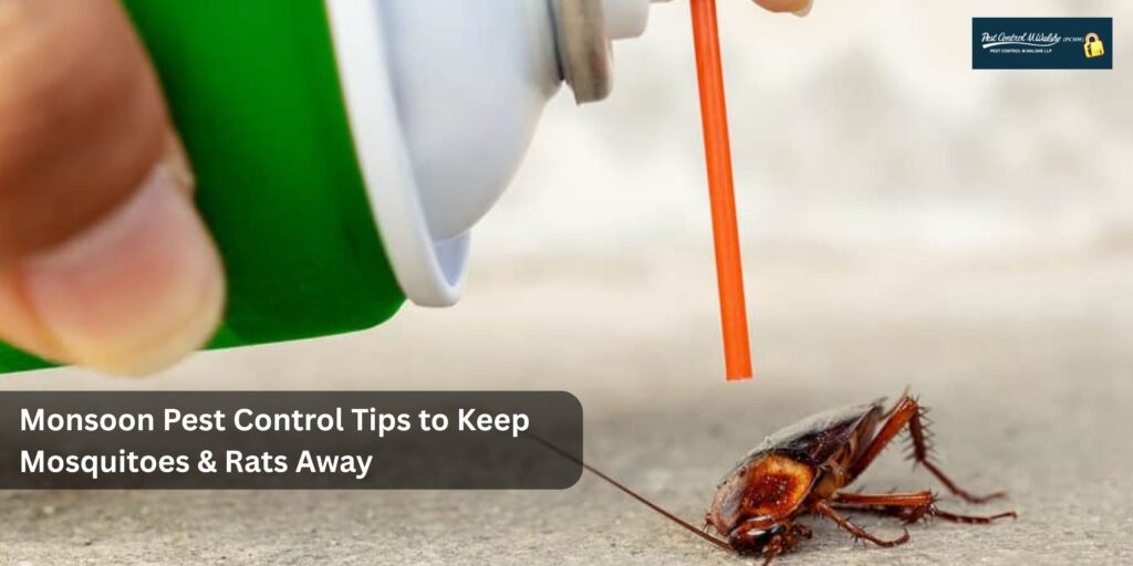 Monsoon Pest Control Tips t