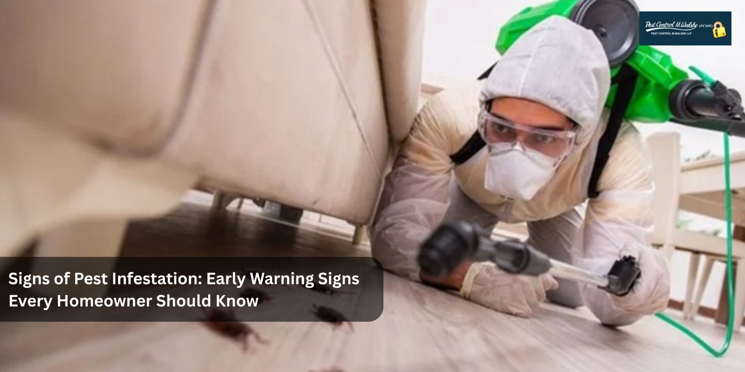 Signs of Pest Infestation