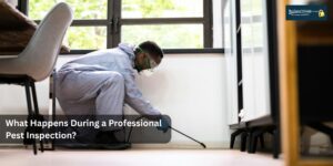 Professional Pest Inspection
