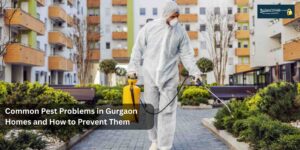 Common Pest Problems in Gurgaon Homes and How to Prevent Them