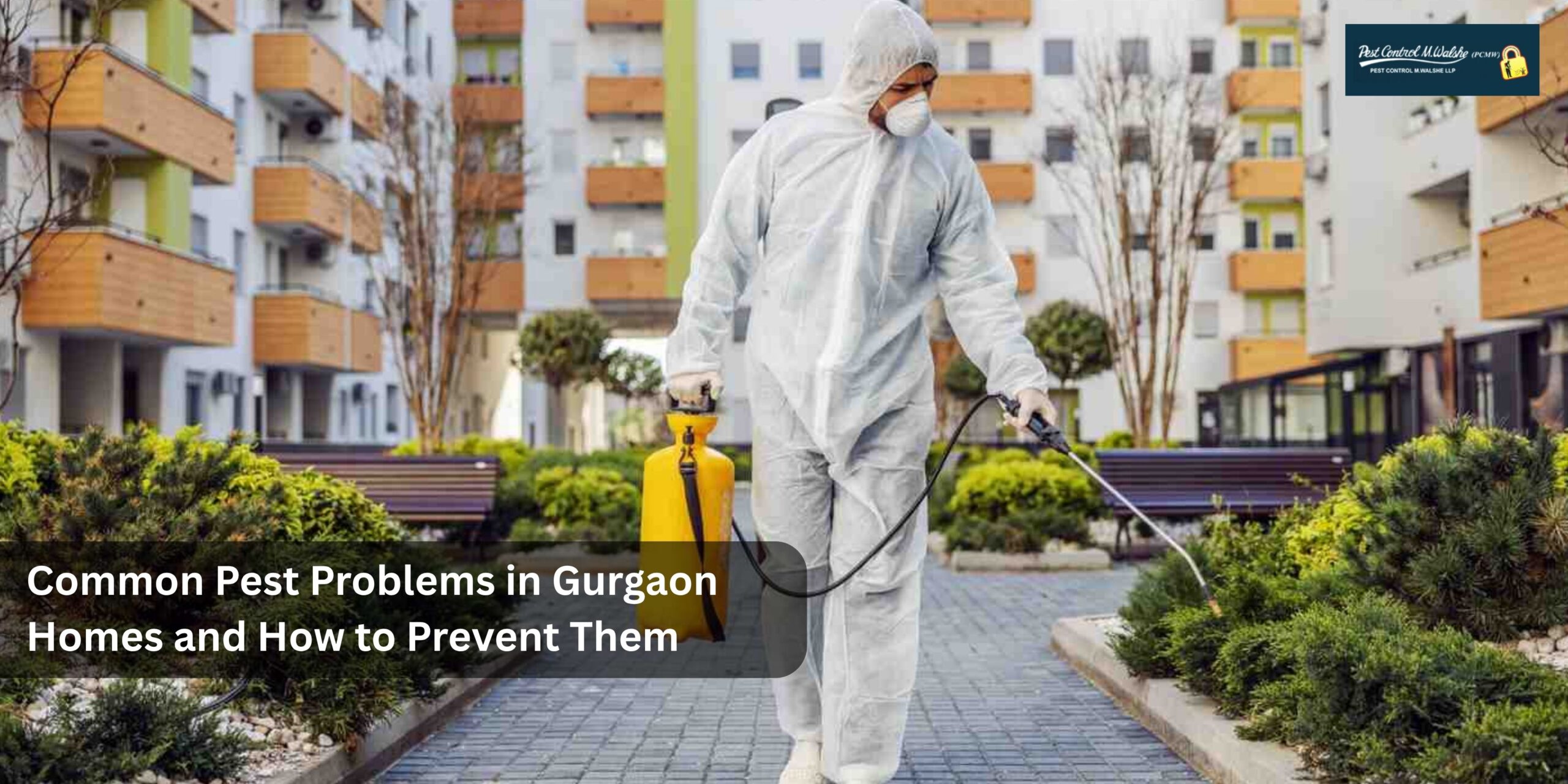 Common Pest Problems in Gurgaon Homes and How to Prevent Them