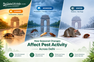 seasnal pest changes in delhi