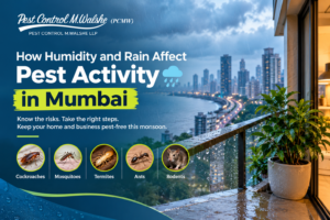 how humidity effect pest activity